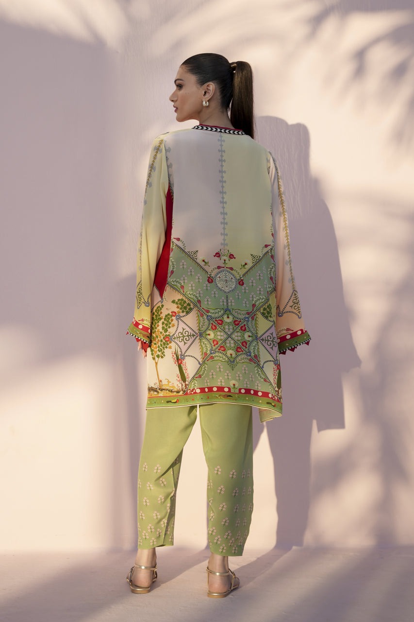 Georgette Chiffon scarf outfit